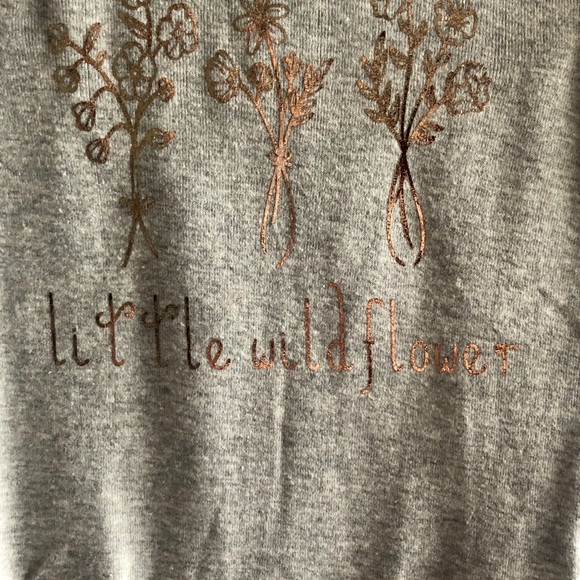 Little Wildflower Rose Gold/Light Gray Bodysuit - Picture 2 of 6